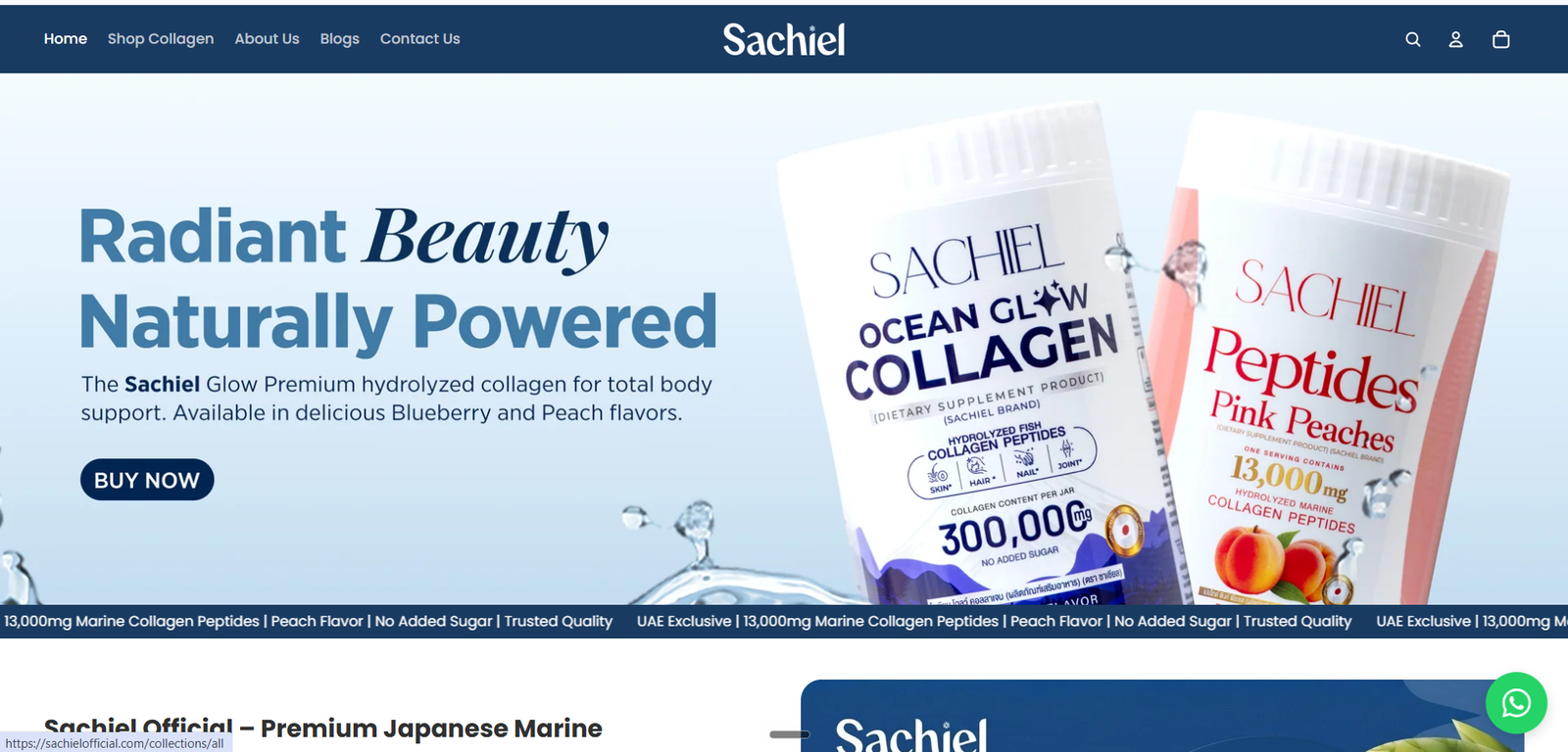 Sachiel Official
